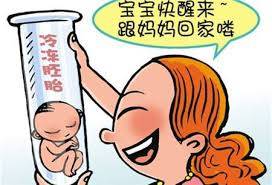 捐卵